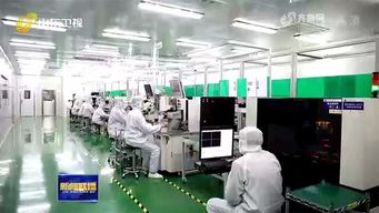 太平洋光電加快光通訊芯片量產步伐，打造5G時代新產業(yè)高地